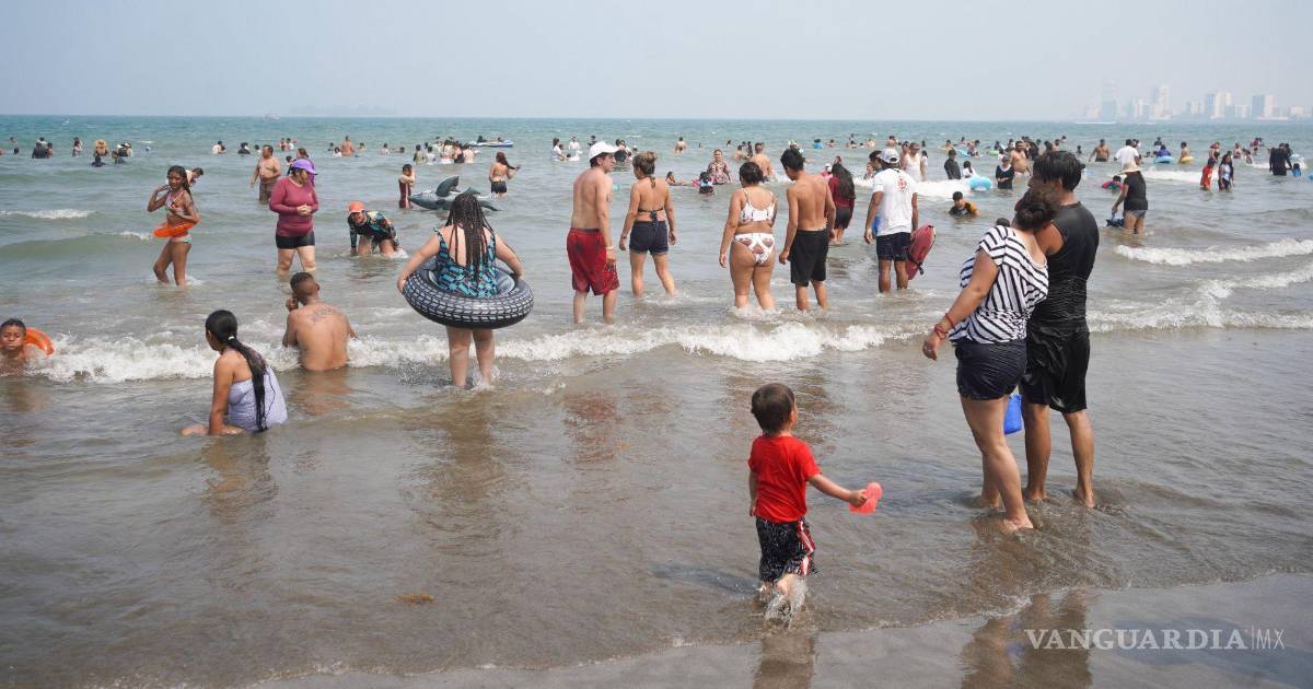 谢因鲍姆下令调查石油泄漏事件