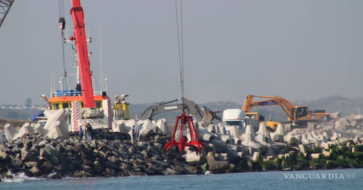 环保组织指控扩建韦拉克鲁斯港导致珊瑚礁生态灭绝