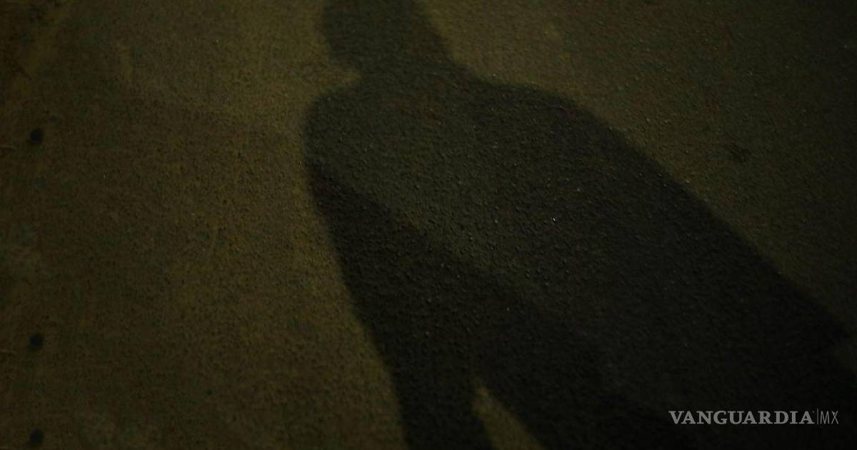 又一起家庭悲剧，新莱昂州男子杀死伴侣并刺伤两名女性