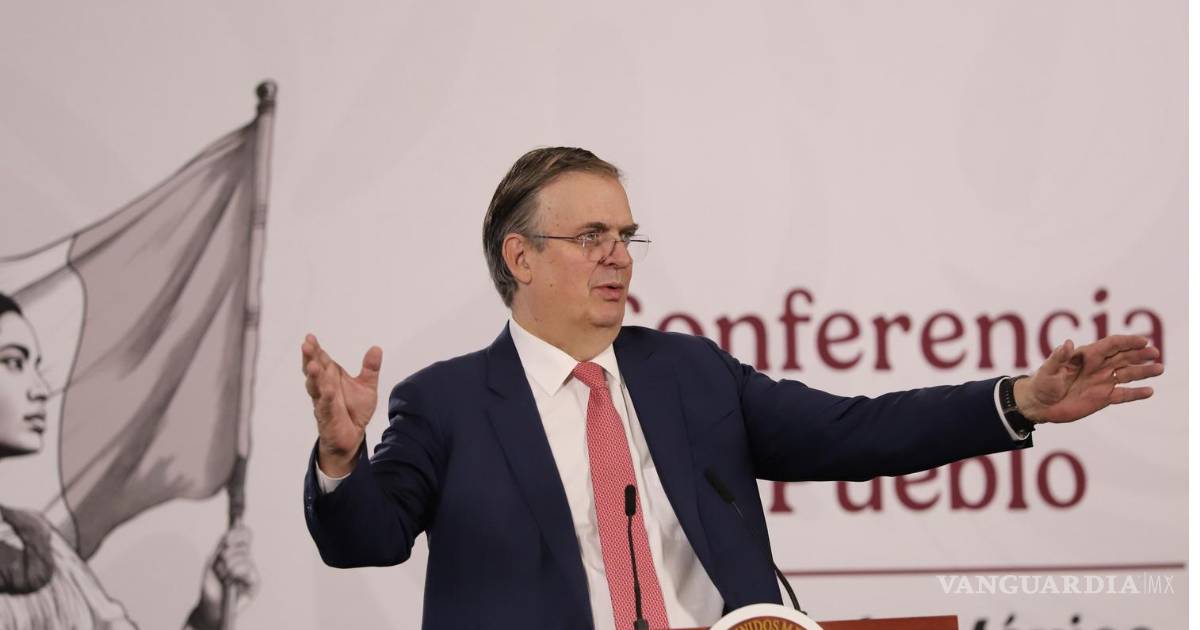 要求对埃布拉德因其子在大使馆居住六个月而追究责任