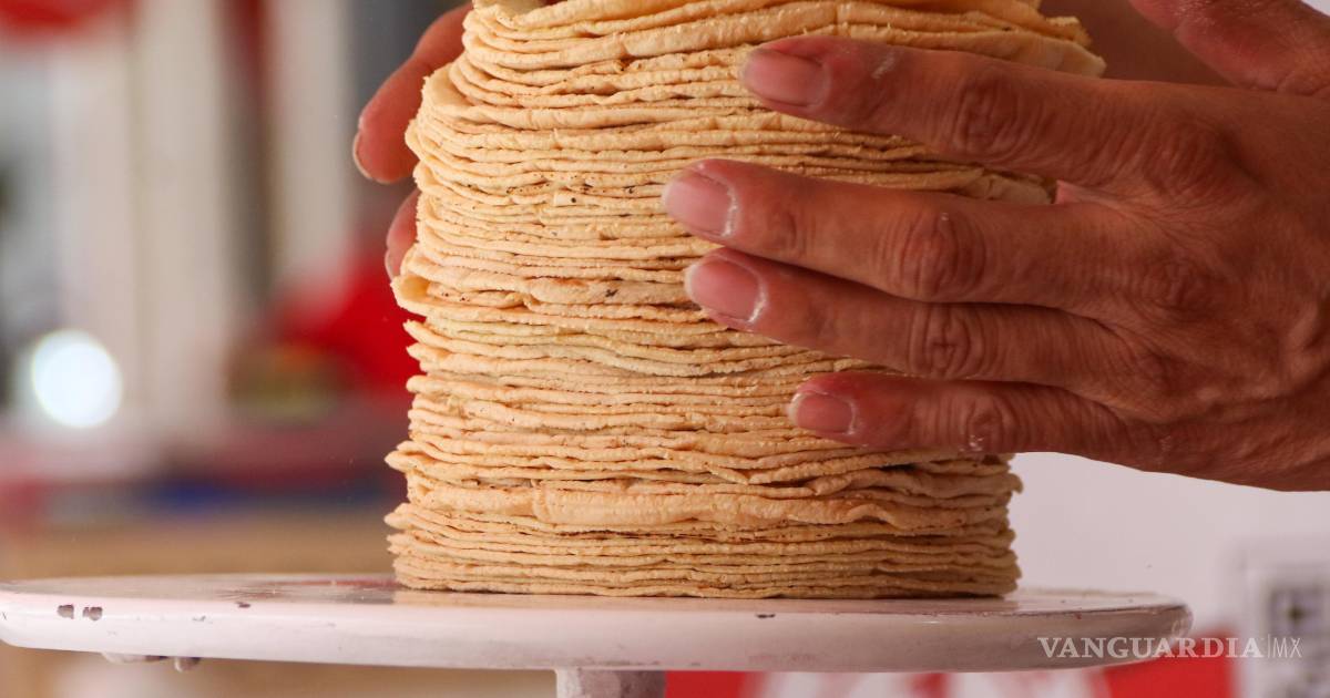 墨西哥玉米饼价格可能上涨至4比索