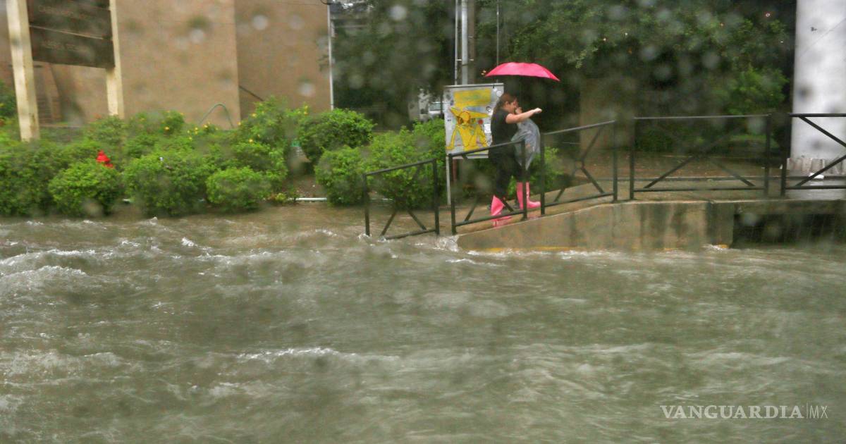 新莱昂州预报强降雨 周五基础教育改上线上课