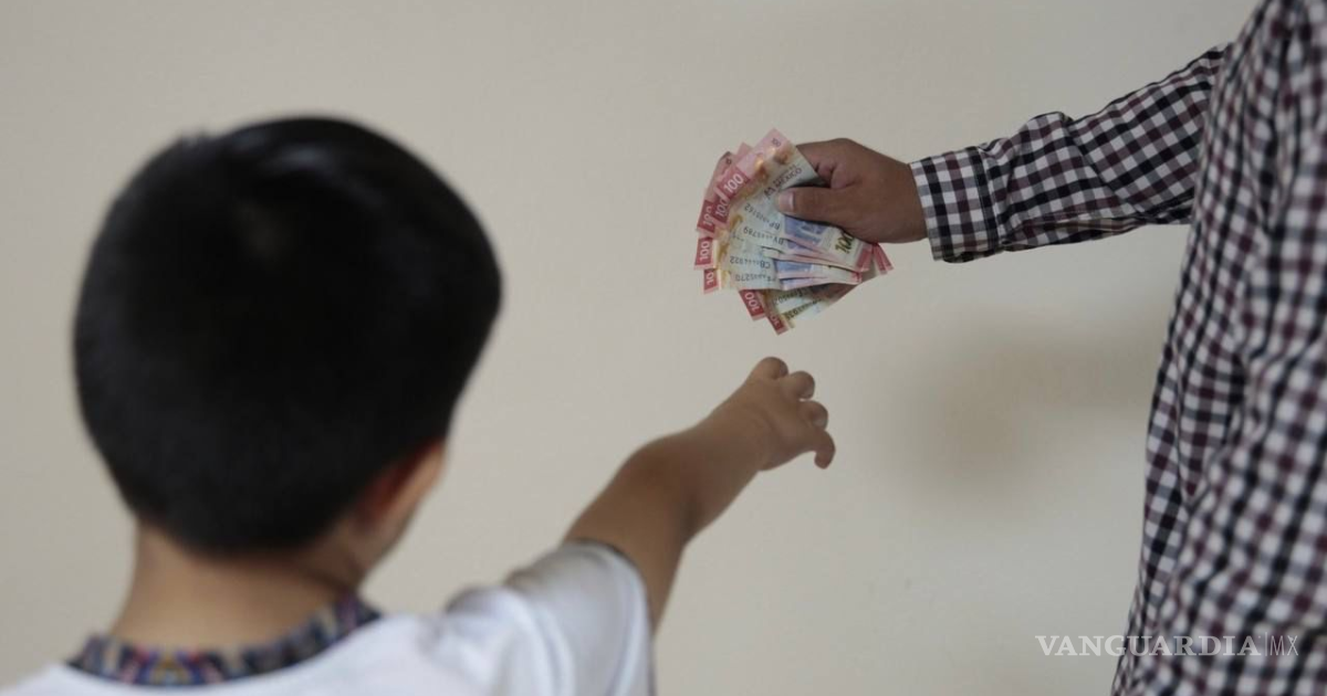 墨西哥绿色生态党提议限制欠养子费者出境