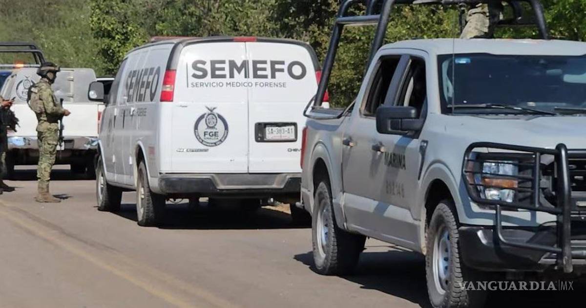 在伊马拉发现尸体，检方已被通知