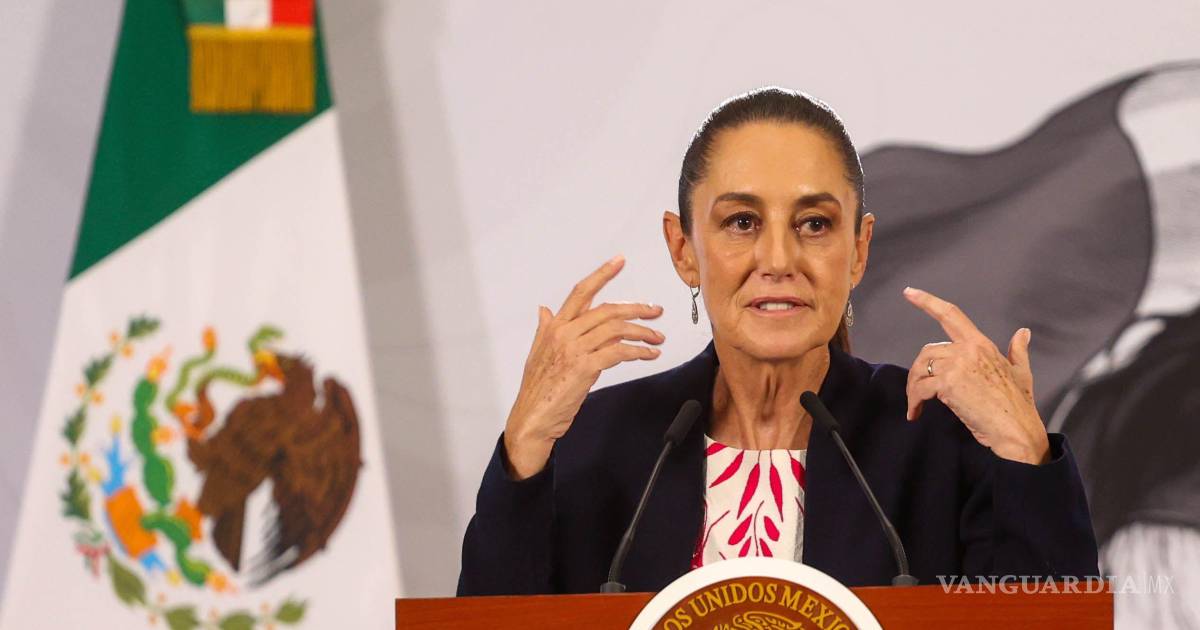 谢因鲍姆拒绝联合国关于失踪案件的报告