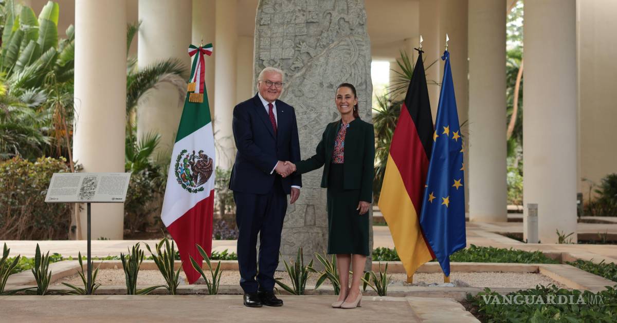 谢因鲍姆会见德国总统施泰因迈尔