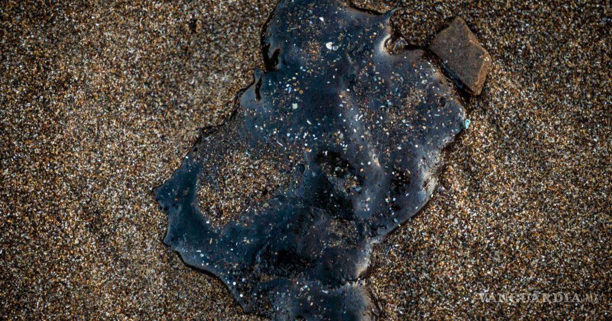 墨西哥湾油污清理工作进展显著