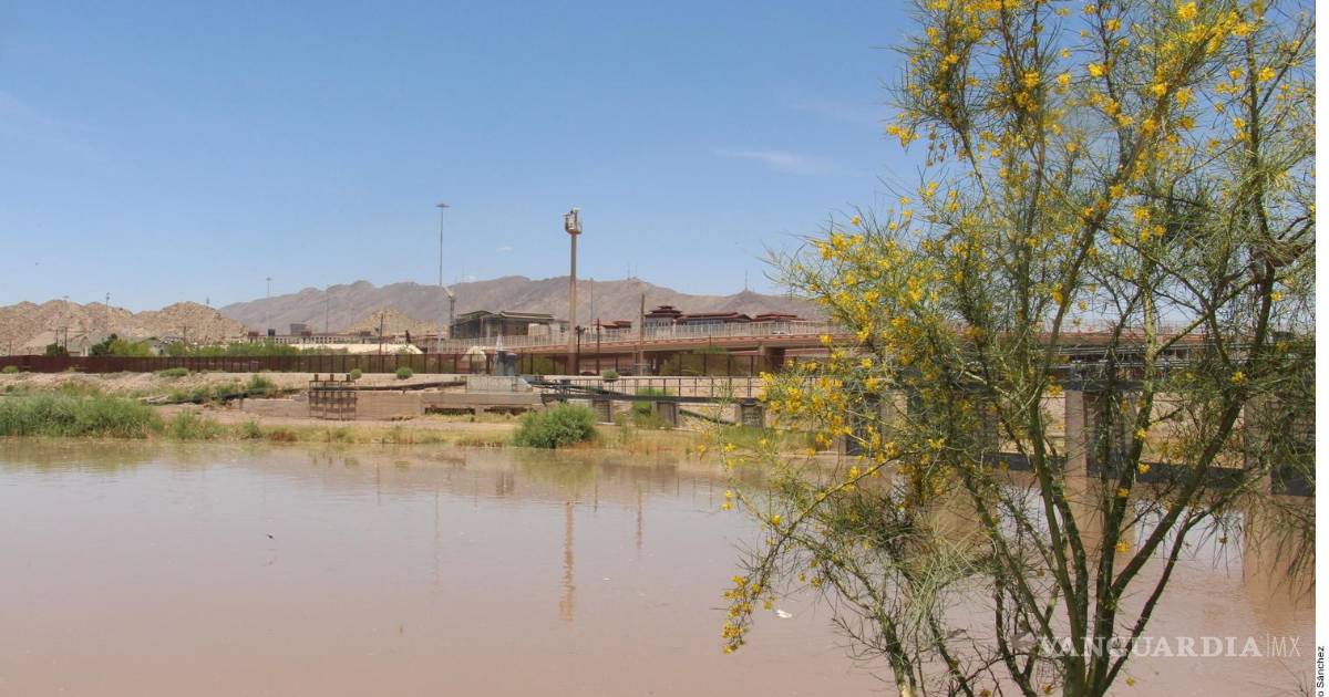 墨西哥布拉沃河持续面临极端干旱