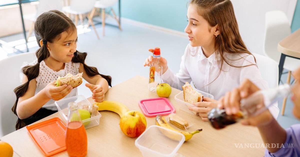 最高法院确认学校和大学限制销售垃圾食品符合宪法