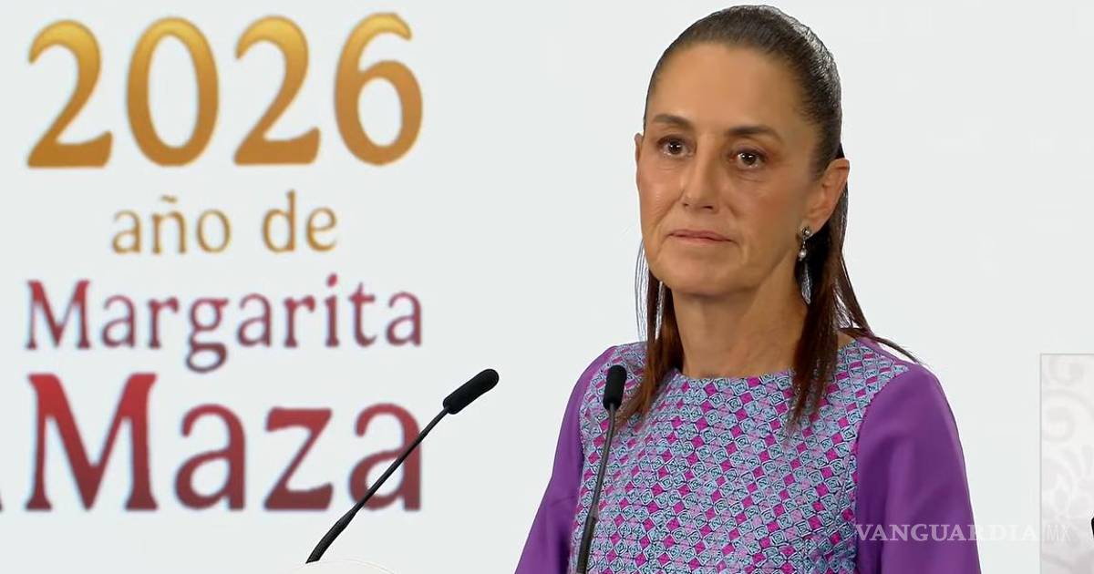 谢因鲍姆批评反对派利用美国指控为政治工具