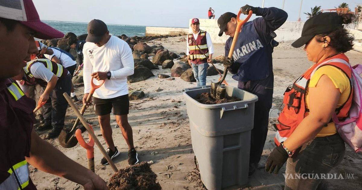 墨西哥环境部门协调应对塔巴斯科和韦拉克鲁斯海滩石油污染