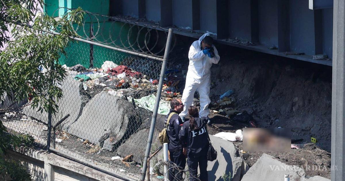 谢因鲍姆考虑对反女性杀害法案的追溯适用性