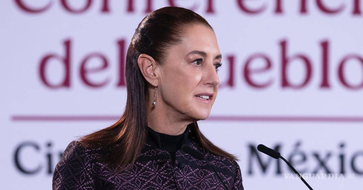 谢因鲍姆称暂无证据证明塔毛利帕斯州边境曾向美国开枪