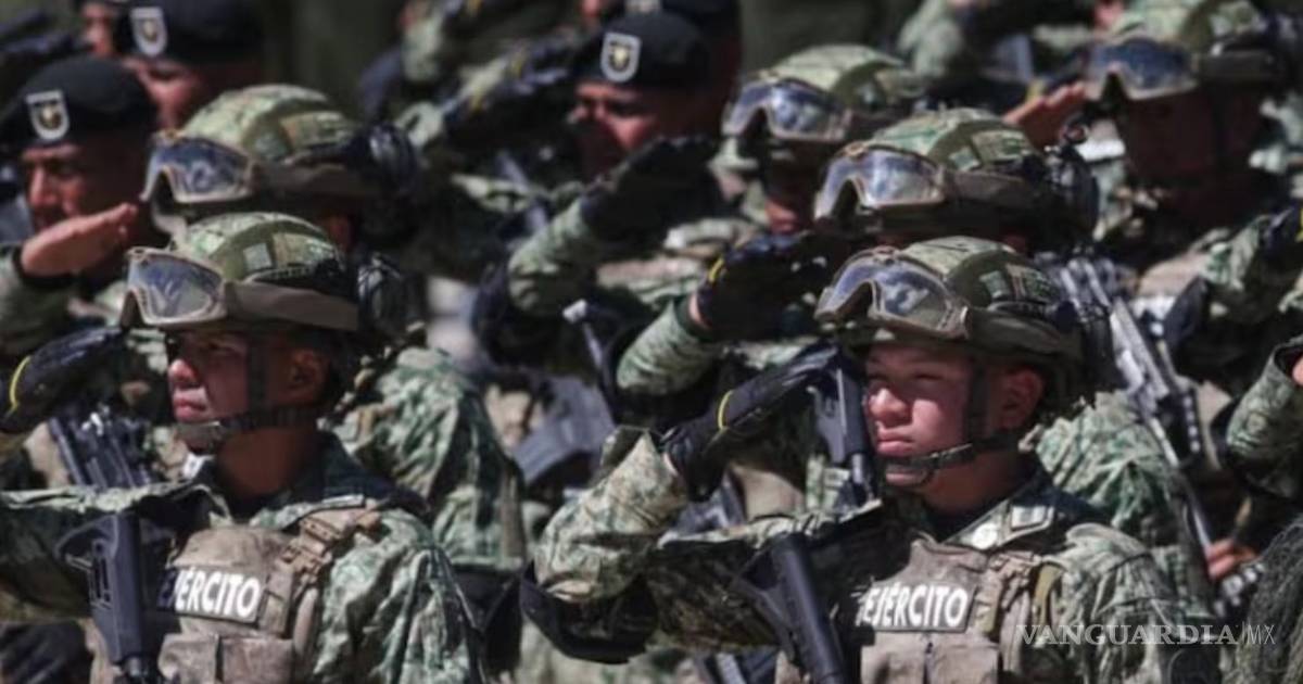 谢因鲍姆向参议院提交军队出境请求