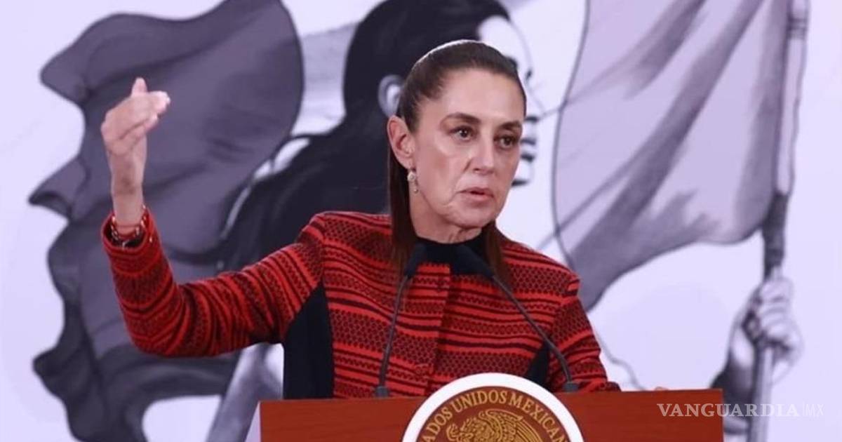 谢因鲍姆：墨西哥确实在进行失踪人员的实地搜寻