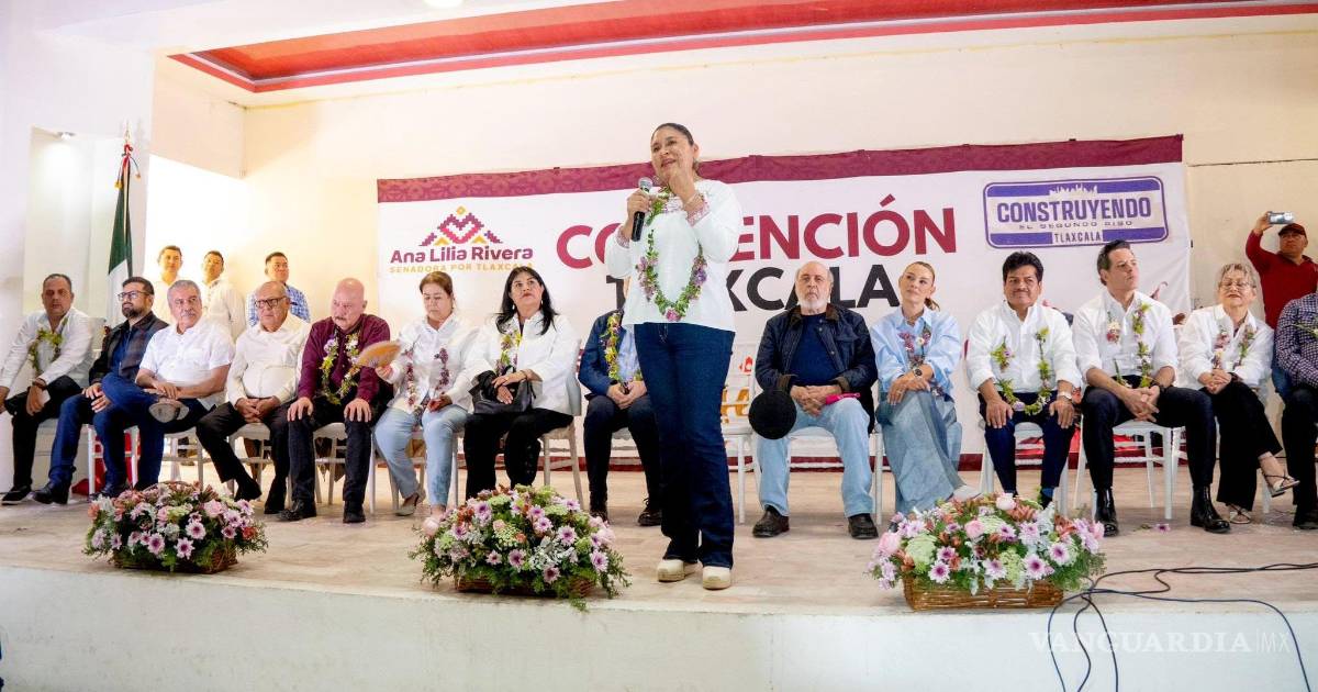 参议员呼吁团结与自我批评以巩固变革