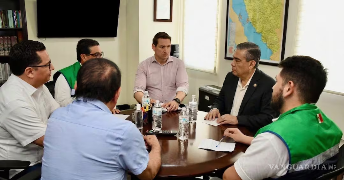 索诺拉州加强对与维生素注射液相关死亡事件的调查