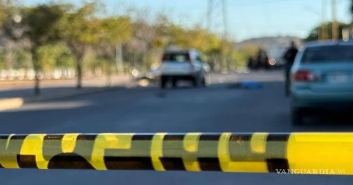 塔巴斯科发现九具被杀及斩首尸体