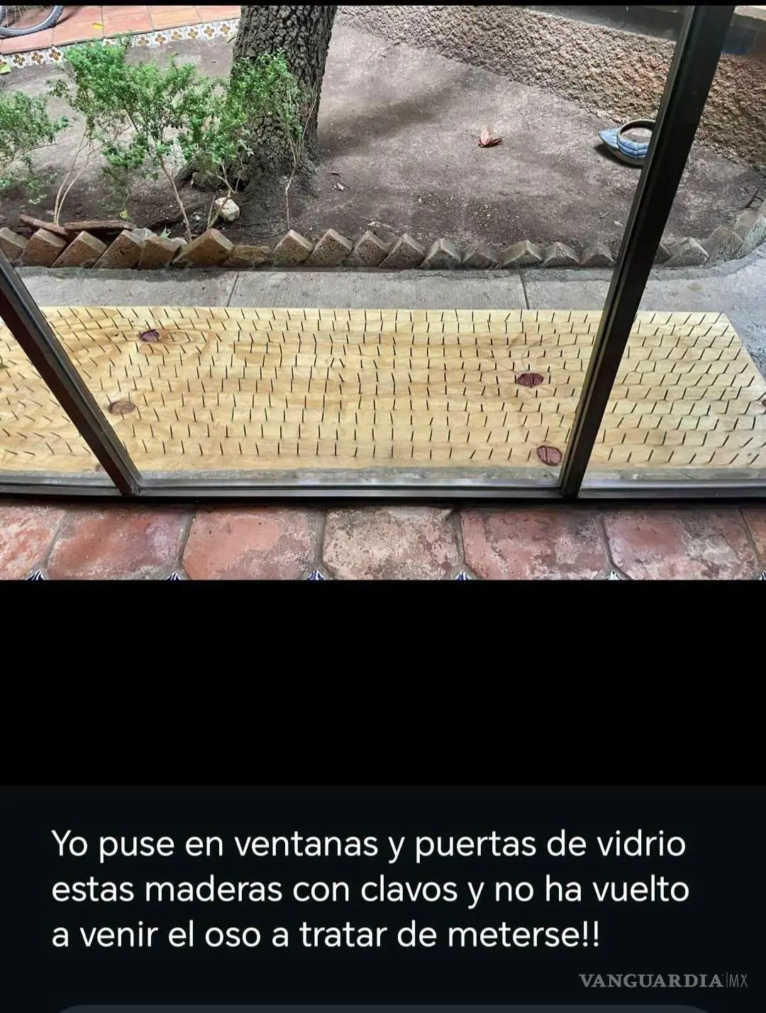 $!‘Trampas antiosos’ desatan indignación en San Pedro; vecinos colocan tablas con clavos