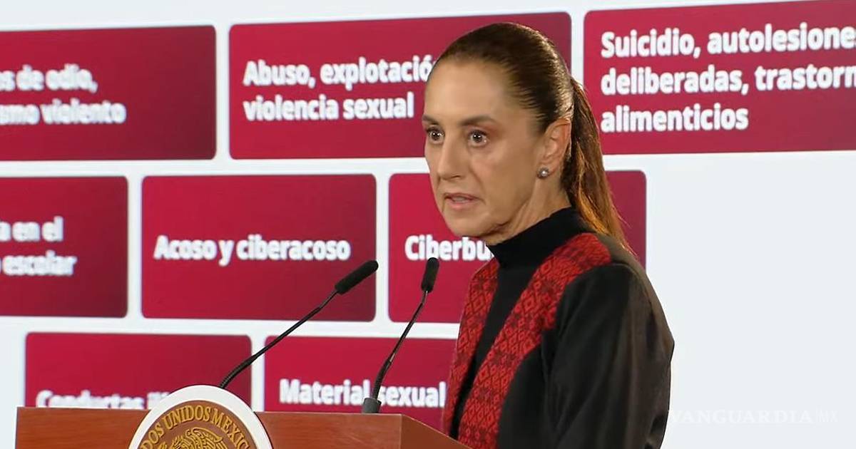 托雷翁暴力事件后，谢因鲍姆提出法令限制社交网络向未成年人传播暴力和性内容