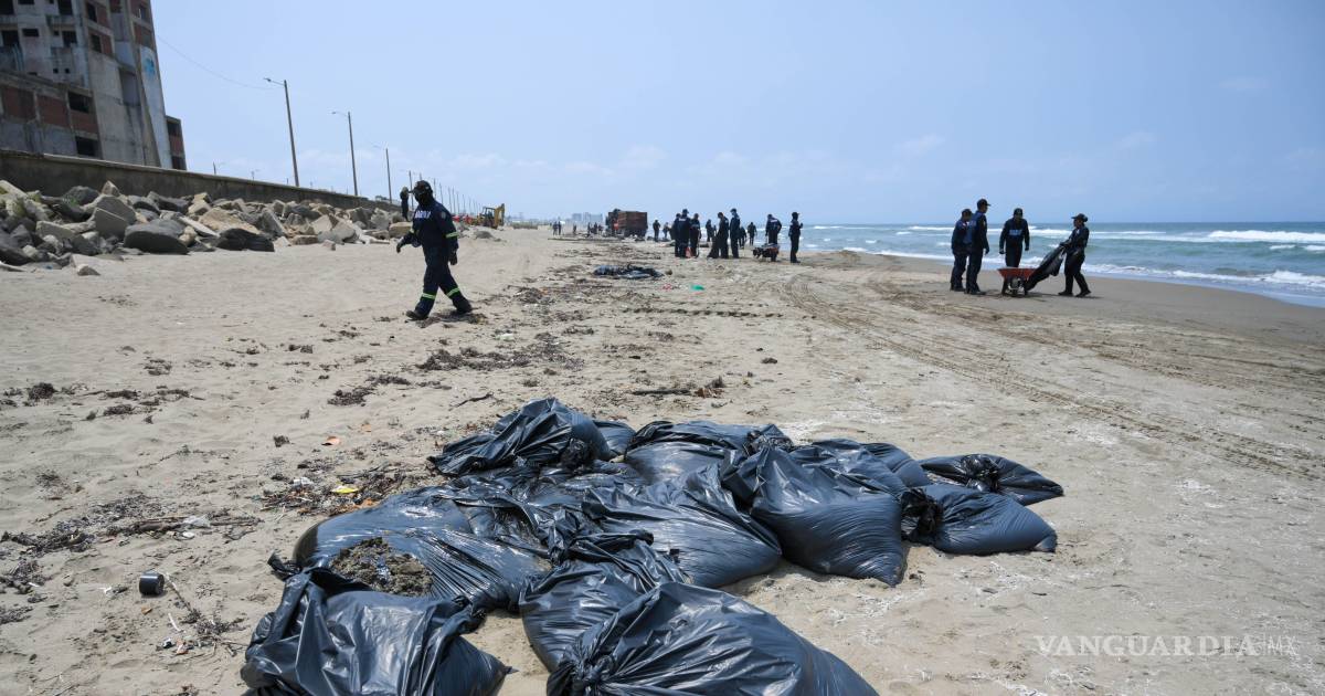 巴亚尔塔港居民向海军递交污染物以抗议环境污染