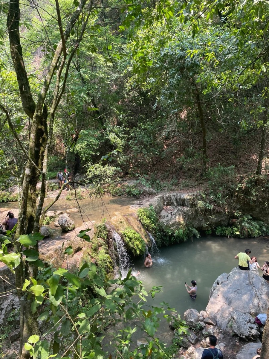 林中瀑布与溪流