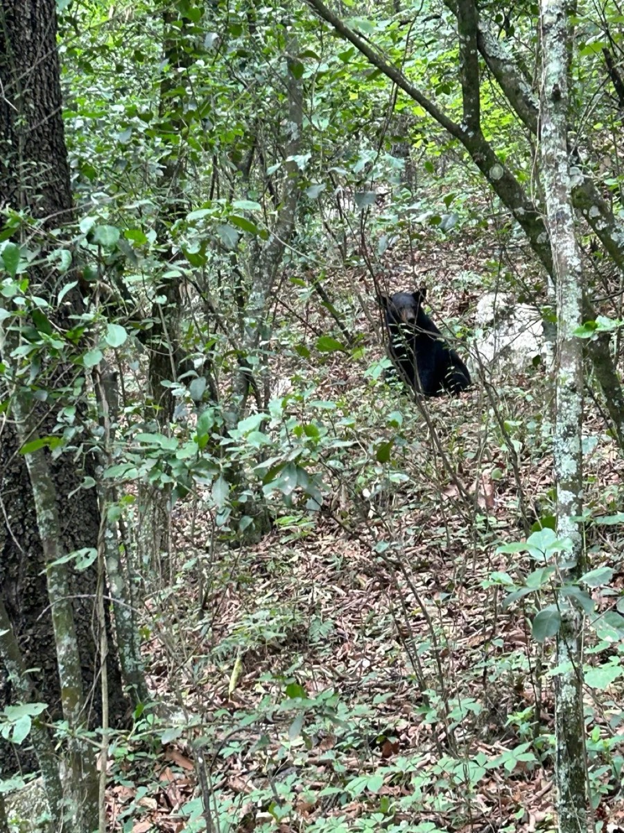 La Estanzuela 山谷入口景观