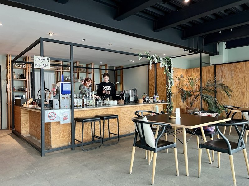 Matcha Garden MX